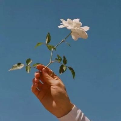 巨人觉醒之战免费版下载