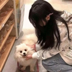 御仙缘超爆版下载